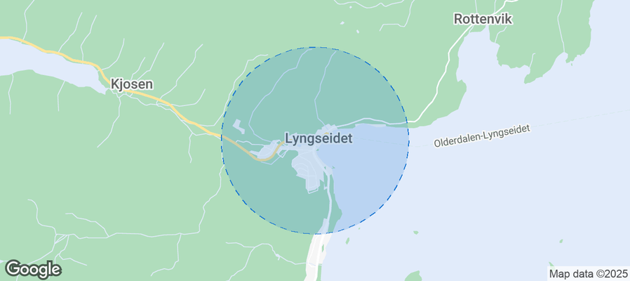 Discover Lyngseidet Airbnb Analytics
